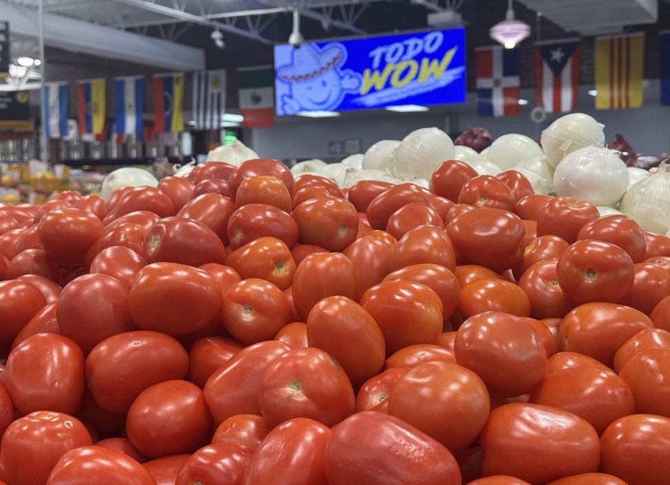 Diseño sin título (19)